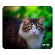    Perfeo Cat 24, 180x220x2 , +  (PF_D0668)