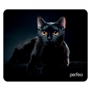    Perfeo Cat 21, 180x220x2 , +  (PF_D0665)