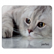    Perfeo Cat 22, 180x220x2 , +  (PF_D0666)