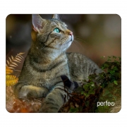    Perfeo Cat 27, 180x220x2 , +  (PF_D0671)