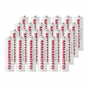  AA Minamoto LR6/2SH Alkaline, 24 , 